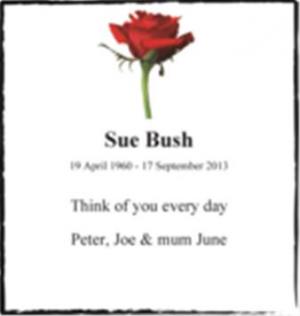 Sue Bush